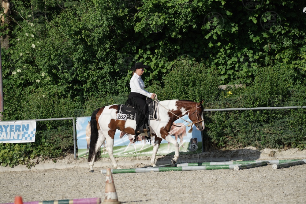 s_APF06997.jpg